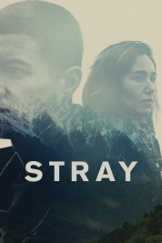 Watch Free Stray Full Movies Bflix