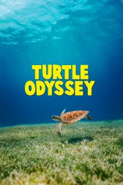 Watch Free Turtle Odyssey Full Movies Bflix