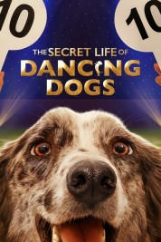 Watch Free The Secret Life of Dancing Dogs Full Movies Bflix