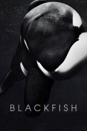 Watch Free Blackfish Full Movies Bflix