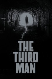 Watch Free The Third Man Full Movies Bflix