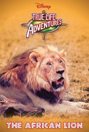 Watch Free The African Lion Full Movies Bflix