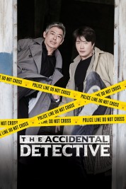 Watch free The Accidental Detective HD online