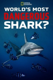 Watch Free World's Most Dangerous Shark? Full Movies Bflix