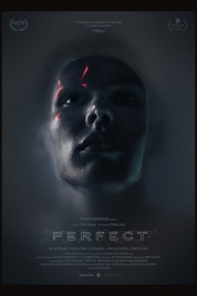 Watch Free Perfect Full Movies Bflix