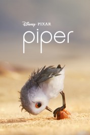 Watch Free Piper Full Movies Bflix