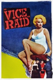 Watch Free Vice Raid Full Movies Bflix