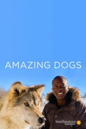 Watch Free Amazing Dogs Full Movies Bflix