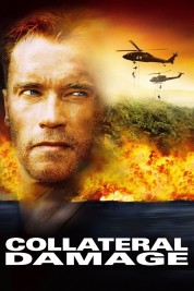 Watch Free Collateral Damage Full Movies Bflix