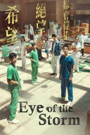 Watch Free Eye of the Storm Full Movies Bflix