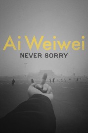 Watch Free Ai Weiwei: Never Sorry Full Movies Bflix