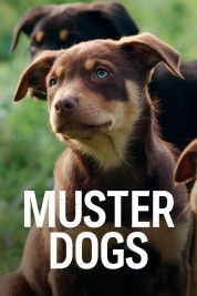 Watch Free Muster Dogs Full Movies Bflix