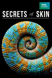 Watch Free Secrets of Skin Full Movies Bflix