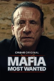 watch free Mafia: Most Wanted hd online