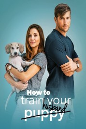 Watch Free How to Train Your Husband Full Movies Bflix