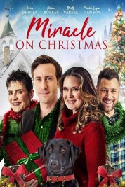 Watch Free Miracle on Christmas Full Movies Bflix