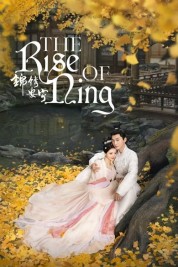 Watch Free The Rise of Ning Full Movies Bflix