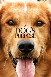 Watch Free A Dog's Purpose Full Movies Bflix