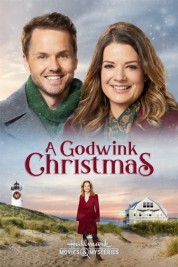 Watch Free A Godwink Christmas Full Movies Bflix