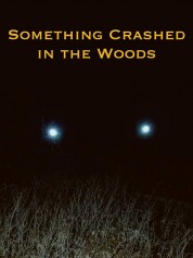 Watch Free Something Crashed in the Woods Full Movies Bflix