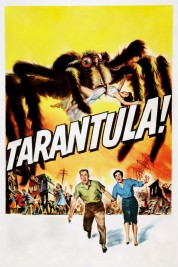 Watch Free Tarantula Full Movies Bflix