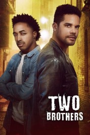 Watch Free Two Brothers Full Movies Bflix