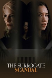 Watch Free The Surrogate Scandal Full Movies Bflix