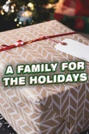 Watch Free A Family for the Holidays Full Movies Bflix