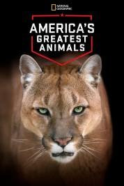 Watch Free America's Greatest Animals Full Movies Bflix