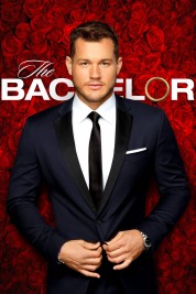 Watch Free The Bachelor Full Movies Bflix