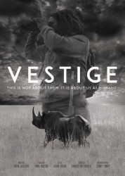 Vestige 2019