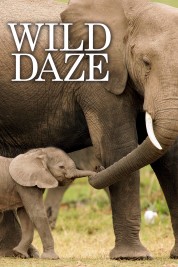 Watch Free Wild Daze Full Movies Bflix