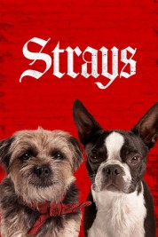 Watch Free Strays Full Movies Bflix