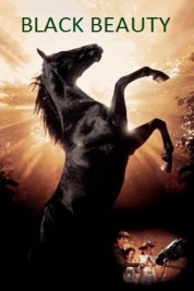 Watch Free Black Beauty Full Movies Bflix