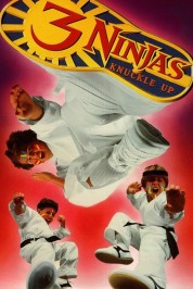 Watch Free 3 Ninjas Knuckle Up Full Movies Bflix