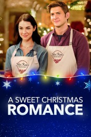 Watch Free A Sweet Christmas Romance Full Movies Bflix