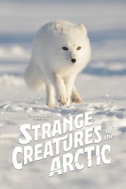 Watch free Strange Creatures of the Arctic HD online