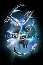 Watch Free Super/Natural Full Movies Bflix