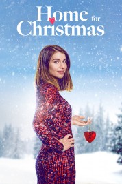 Watch Free Home for Christmas Full Movies Bflix