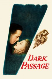 Watch Free Dark Passage Full Movies Bflix