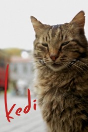 Watch Free Kedi Full Movies Bflix