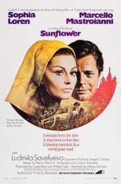 Sunflower 1970