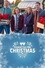 Watch Free Poinsettias for Christmas Full Movies Bflix