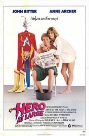 Watch Free Hero at Large Full Movies Bflix