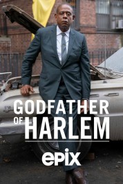 Watch Free Godfather of Harlem Full Movies Bflix