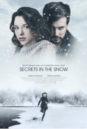 Watch Free Killer Secrets in the Snow Full Movies Bflix