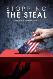 Watch Free Stopping the Steal Full Movies Bflix