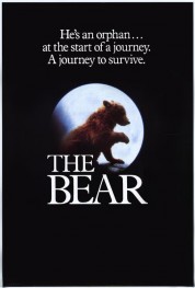 Watch Free The Bear Full Movies Bflix