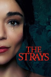 Watch Free The Strays Full Movies Bflix