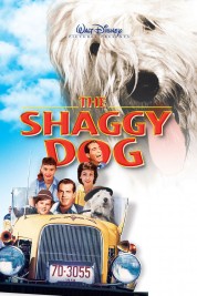 Watch Free The Shaggy Dog Full Movies Bflix